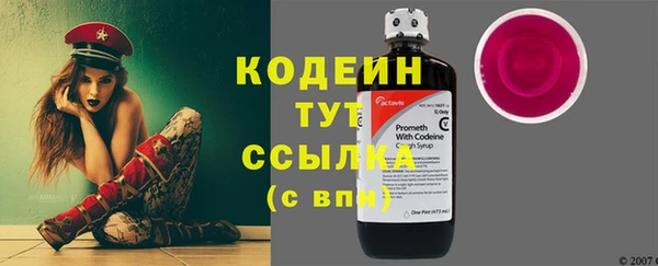 спиды Алзамай