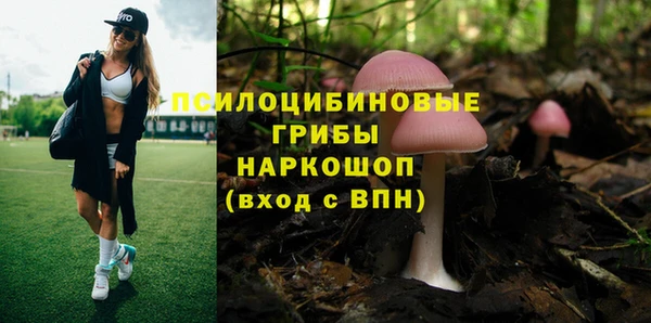 спиды Алзамай