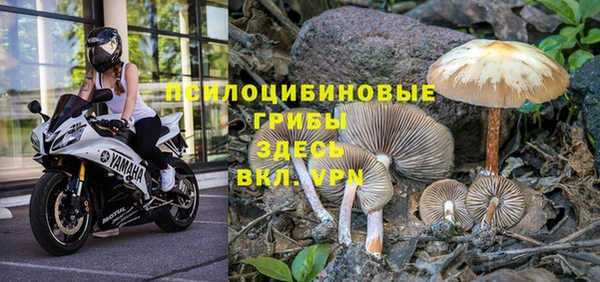 ГАЛЛЮЦИНОГЕННЫЕ ГРИБЫ Навашино